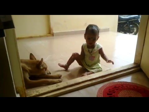 Deekshitha 375 (Playing with dog)