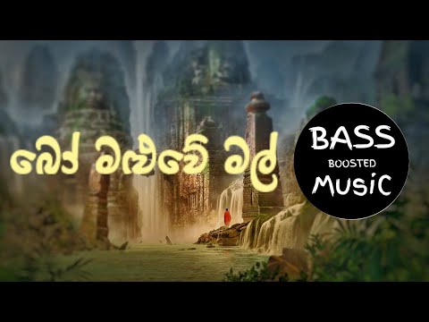 Bo Maluwe Mal || බෝ මළුවේ මල් || BaSS BooSted