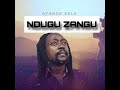 Afande Sele Ndugu Zangu