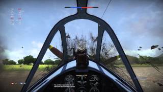 War Thunderにあらわれたくそったれチーター