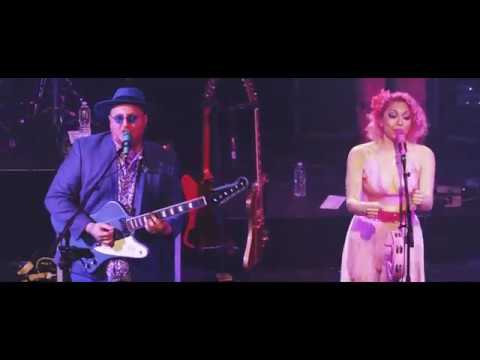 Turkuaz - 12/30/17 "Percy Thrills, the Moondog" Live in New Haven, CT