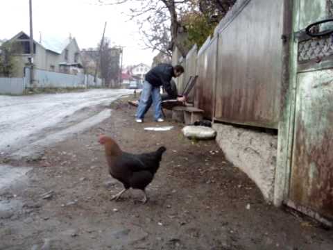 Natakhtari Commercial