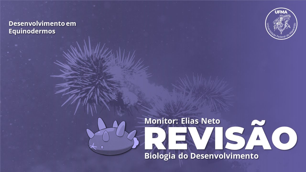 Biologia do Desenvolvimento - Equinodermos