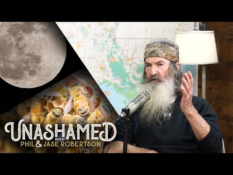 Phil Finds Out Bees CAN Sting at Night, the GameStop Saga, and Popeyes vs. Chick-fil-A | Ep 220