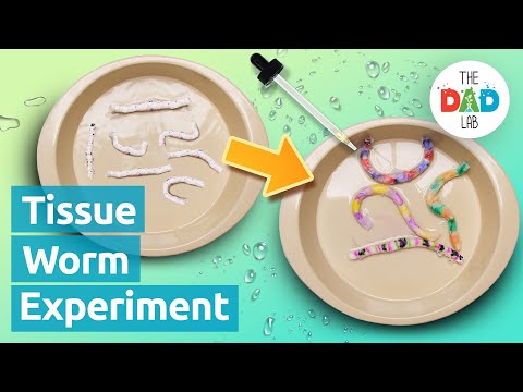 Cool Tissue Wiggly Worm Science Experiment
