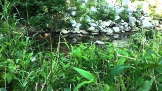 My first  Native American flute