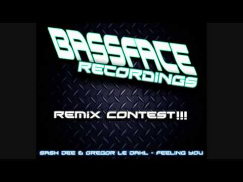 Sash Dee & Gregor le Dahl - Feeling You (Elliot X-Ell Remix)