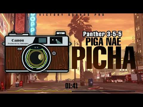 Panther 355|Piga nae picha(Official Music Video)