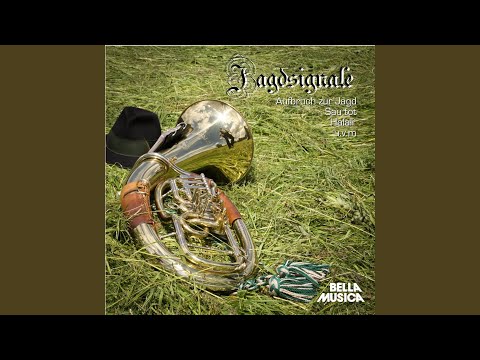 Anblasen des Treibens