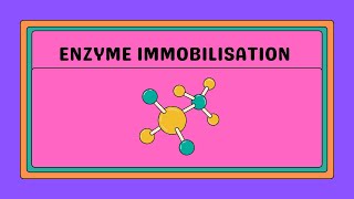 Enzyme Immobilisation