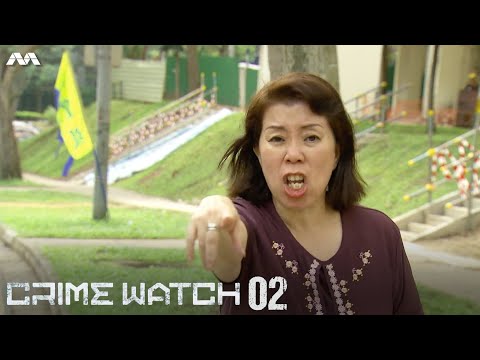 Crimewatch 2012 EP2 | The Serial Snatch Thief