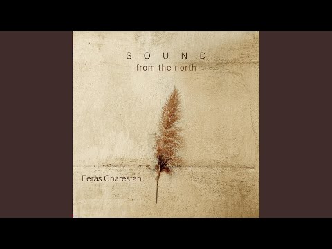 A Snowflake Dreams of Darkness