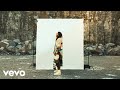 Brandon Lake - COAT OF MANY COLORS (Music Video)