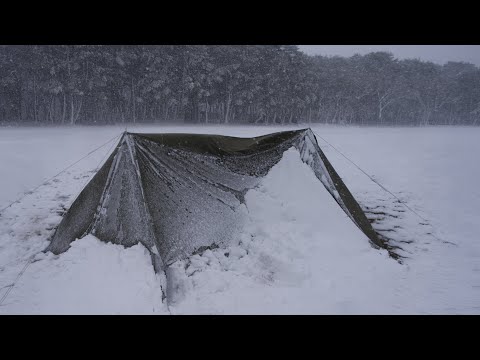 3 Days Solo Winter Camping | Blizzard, Lakeside, Pineforest, Steak | Ep.1
