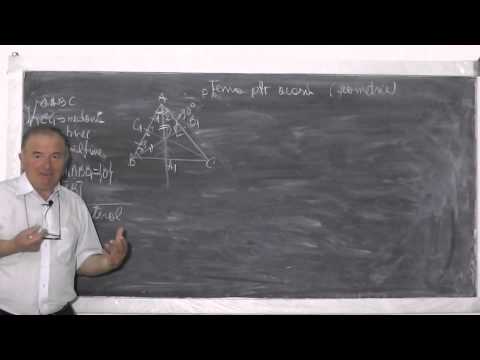 2/2 Lectia 527 - Triunghiul echilateral si proprietatile sale - Tema la geometrie plana - Clasa 6