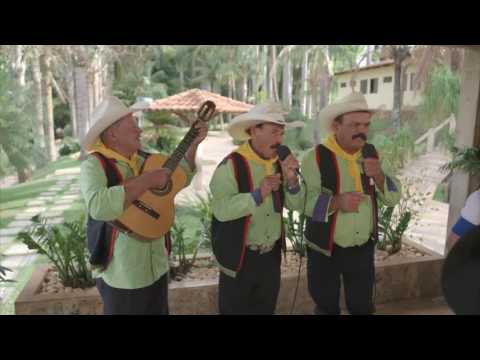 Irmãos Floriano - Os reis da Catira  (Programa Frutos da Terra)