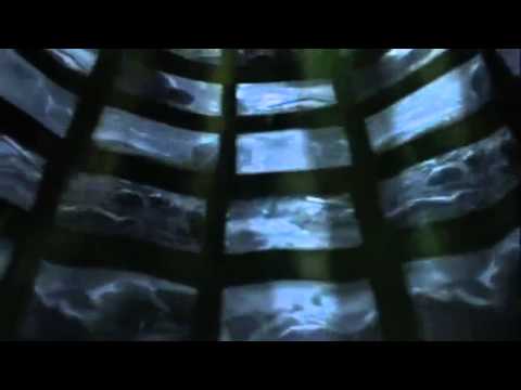 Dolphin's Mind - L'Esperanza (16:9) HQ