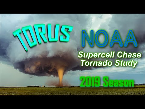 TORUS 2019 Field Phase One