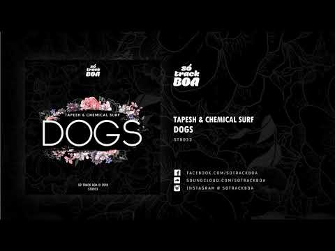 Video thumbnail for Dogs