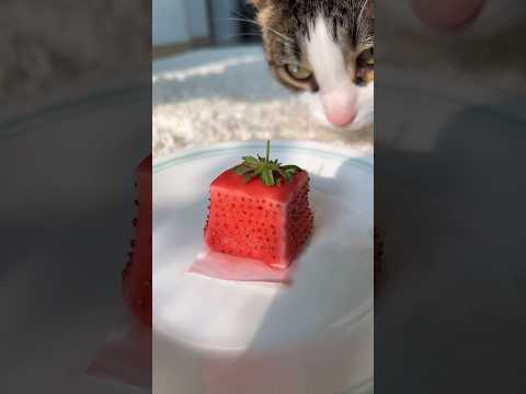 Strawberry Mousse