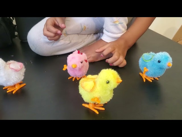 Vídeo relacionado con Skylety Set de Animales de Peluche de Pollos Gallina Ponedora 25 cm con Vientre de Cremallera Juguetes de Muñecos de Peluche de Pollitos y Gallinero para Pascua Navidad Relleno Fiesta (Estilo Bonito)