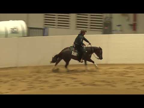 220928  Open Futurity Shawn W Flarida Andiamoe
