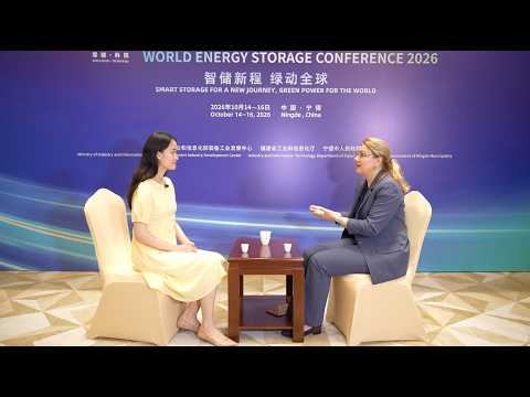 IRENA Coalition head urges global teamwork as energy storage grows