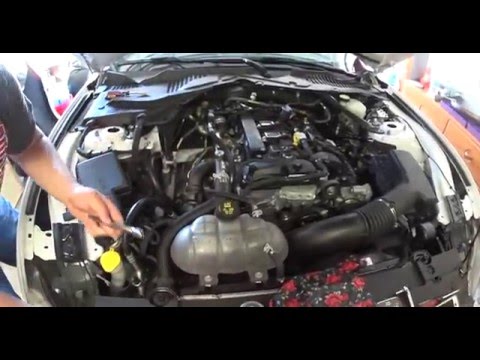 Ford Mustang ecoboost tune+ sparkplugs and wastegate acuator install!