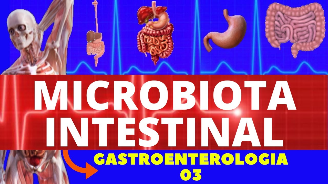 MICROBIOTA INTESTINAL (FLORA INTESTINAL) - GASTROENTEROLOGIA