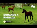 Domando A Potrada my Horse And Me 2 9