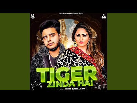 Tiger Zinda Hai