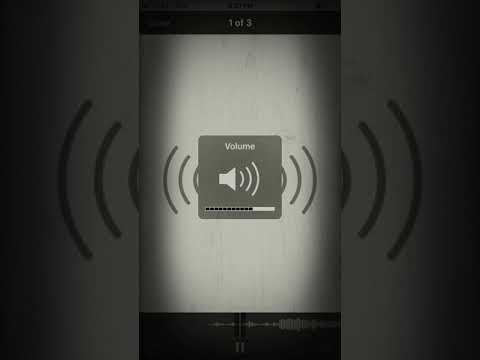 UNRELEASED G19 x 100DEEK