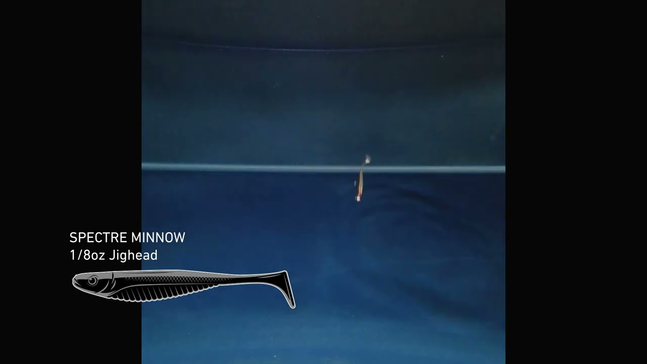 Nomad Live Ops Spectre Minnow 3.25in Soft Plastic video thumbnail