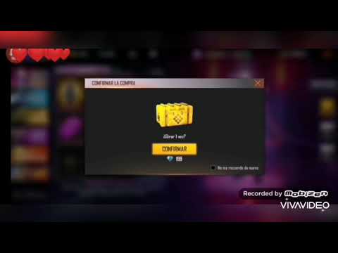 CONEJO ARLEQUÍN PSICÓPATA