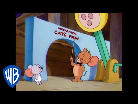 Capa de Tom & Jerry em Português | Brasil | O Rato Educado em Casa | WB Kids