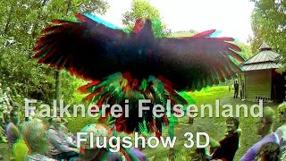preview picture of video '3D Falknerei Felsenland bei Fischbach / Dahn www.falknerei-felsenland.de 3D  Go pro 3 D System'