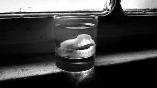 The Child Of Lov - Fly (Unofficial Video)