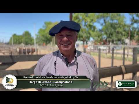 19-02-26 - Jorge Hourcade - Consignatario - Remate Especial Machos de Hourcade, Albelo y Cía.