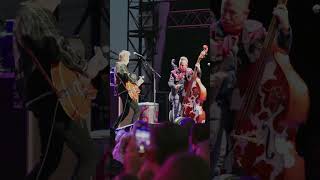 The Stray Cats are bringing their explosive live show &amp; red-hot rock &amp; roll on their US Tour!