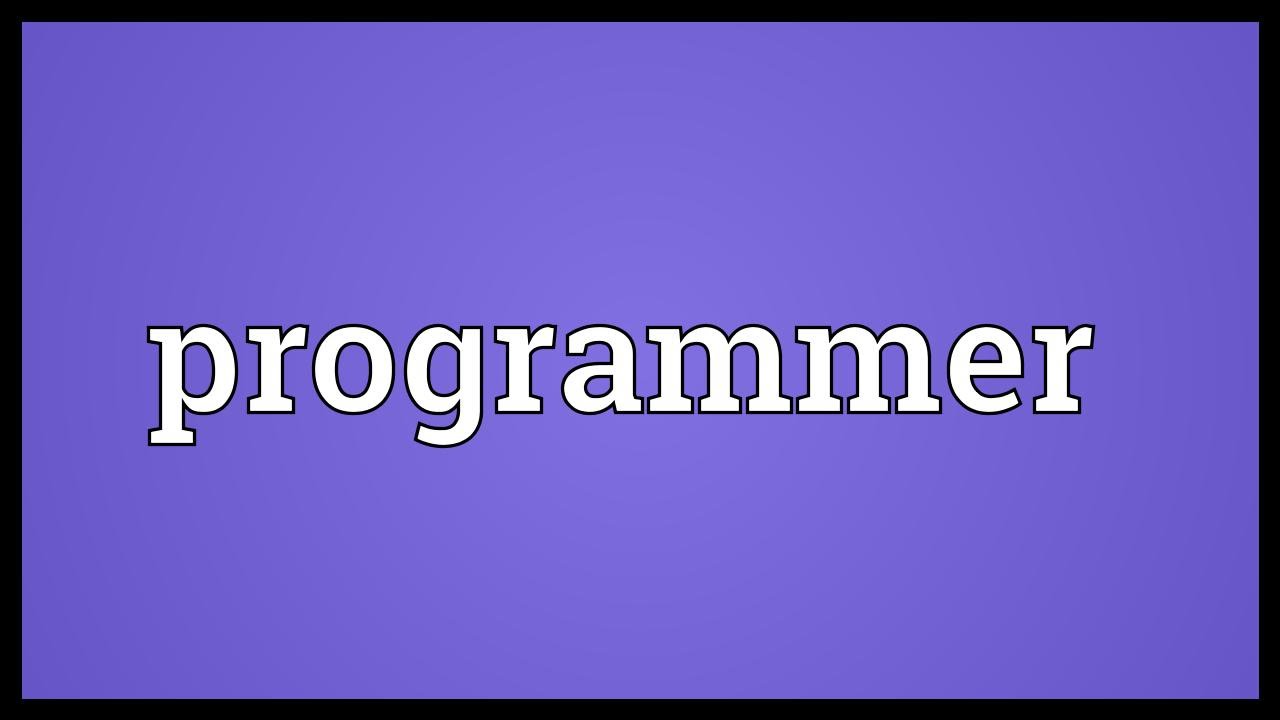 Programmer Meaning