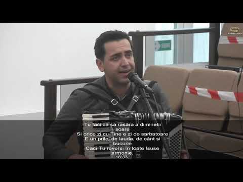 Daniel Berar - Ti-am cunoscut iubirea