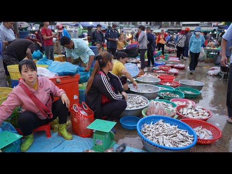 Cambodia Fish Market Show - The Second Site Distribute Fish, Dry Fish & Seafood @Chbar Ampov