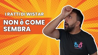 Video 1