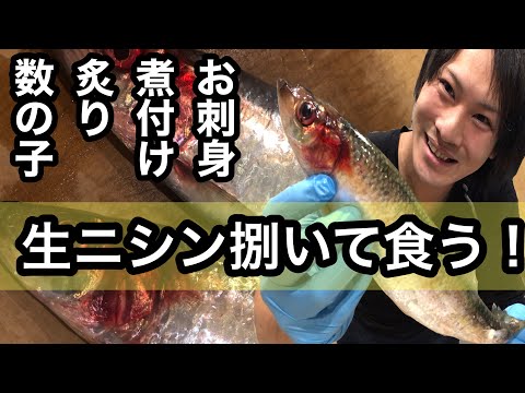 生ニシンの捌き方と食べ方☆お刺身と煮付け、自家製数の子作ります♪