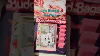 💰Low Budget Savings| Cash Savings