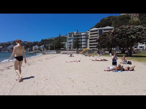 (4k) Summer walk. Oriental Bay - Lambton Quay, Wellington, New Zealand | December 2021.