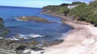 preview picture of video 'Painting Adventure - Waipu Cove'