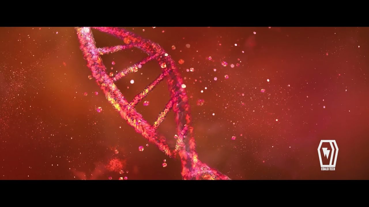 VP24 - AVAILABLE SOON - FOR A BETTER YOU AT NIGHT - EDALB TECH