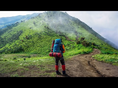 Kramt mal eure alten Rucksäcke raus, Teil 15 (mit Roey Marquis II., Curse, Meckie Berlinutz u.w.)
