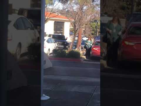 Denny moscow an lenny no proof vancouver bc warren players rockridge too british